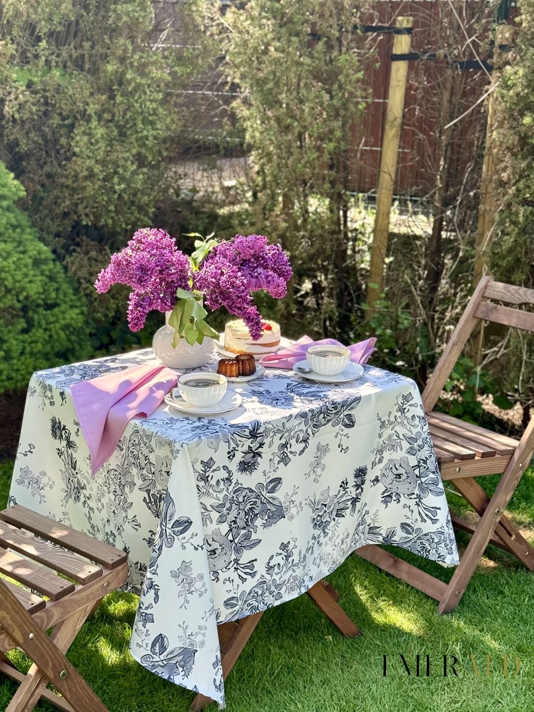 Black orchidea staltiesė