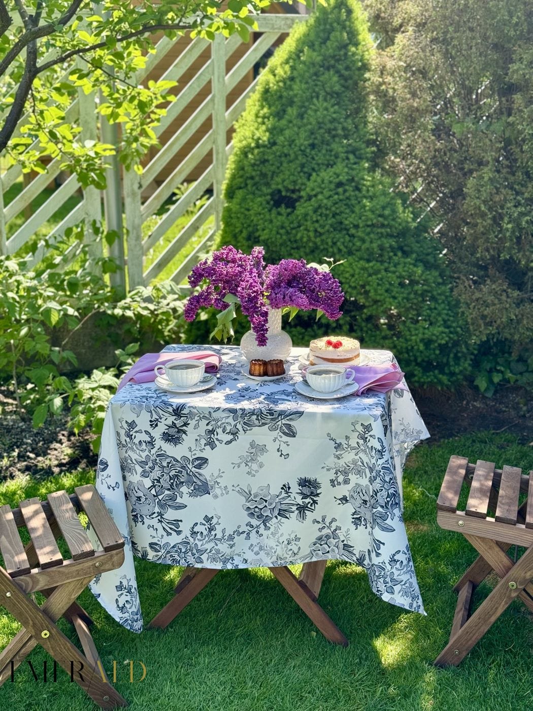 Black orchidea staltiesė